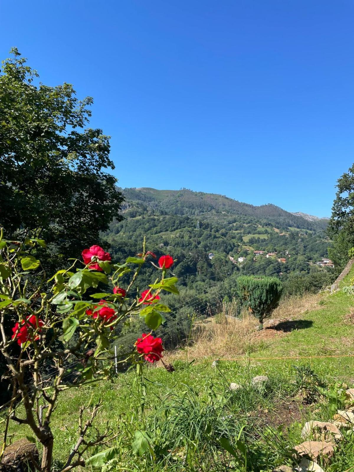 Casa Iris ξενώνας Narciandi Εξωτερικό φωτογραφία