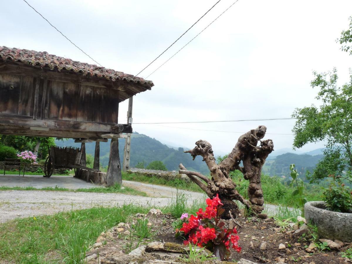 Casa Iris ξενώνας Narciandi Εξωτερικό φωτογραφία